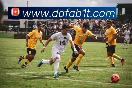 App Interface Preview